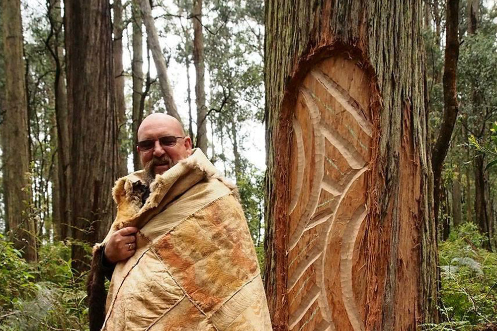 Toolangi Sculpture Trail Scar Tree