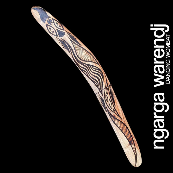 BILI THE BLUETONGUE LIZARD BOOMERANG WANGIM STRINGYBARK MEDIUM