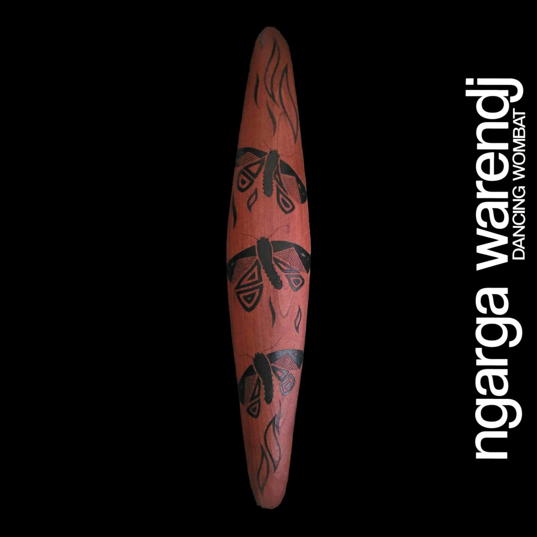 WALL SHIELD MEDIUM - DEBERER BOGONG MOTH DESIGN