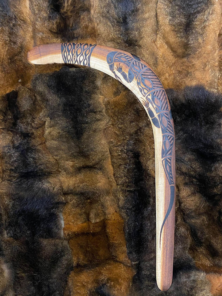 DHULIN THE GOANNA BOOMERANG WANGIM BLACKWOOD X-LARGE