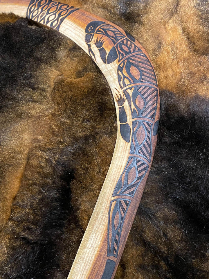 DHULIN THE GOANNA BOOMERANG WANGIM BLACKWOOD X-LARGE
