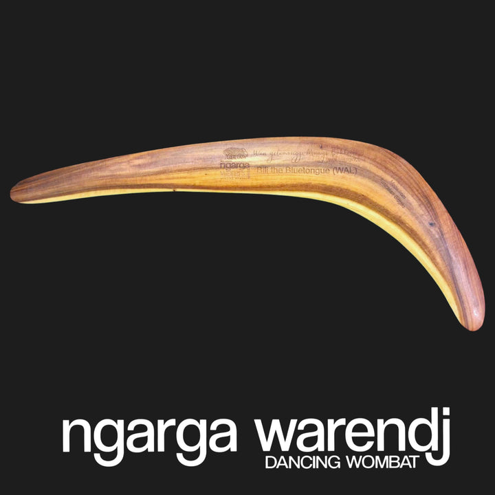 BOOMERANG WANGIM RARE AUSTRALIAN GIDGEE BILI THE BLUE TONGUE LIZARD DESIGN