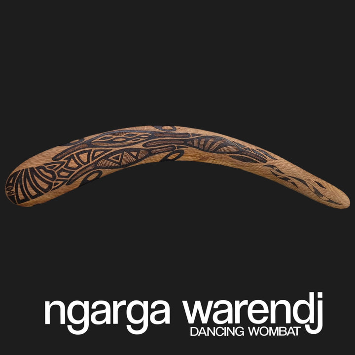 BOOMERANG WANGIM AUSTRALIAN SWAMP OAK LARGE BUDJA THE PLATYPUS  DESIGN