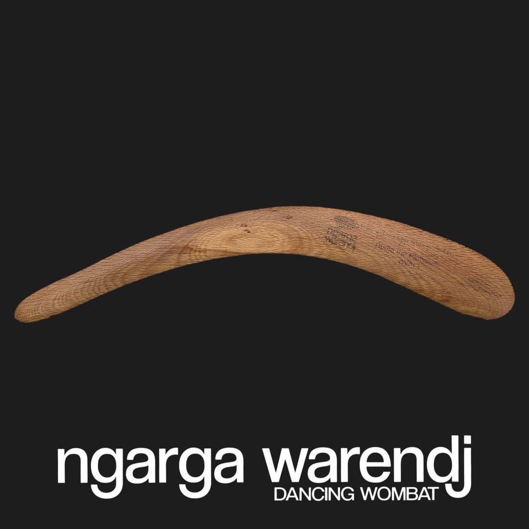 BOOMERANG WANGIM AUSTRALIAN SWAMP OAK LARGE BUDJA THE PLATYPUS  DESIGN