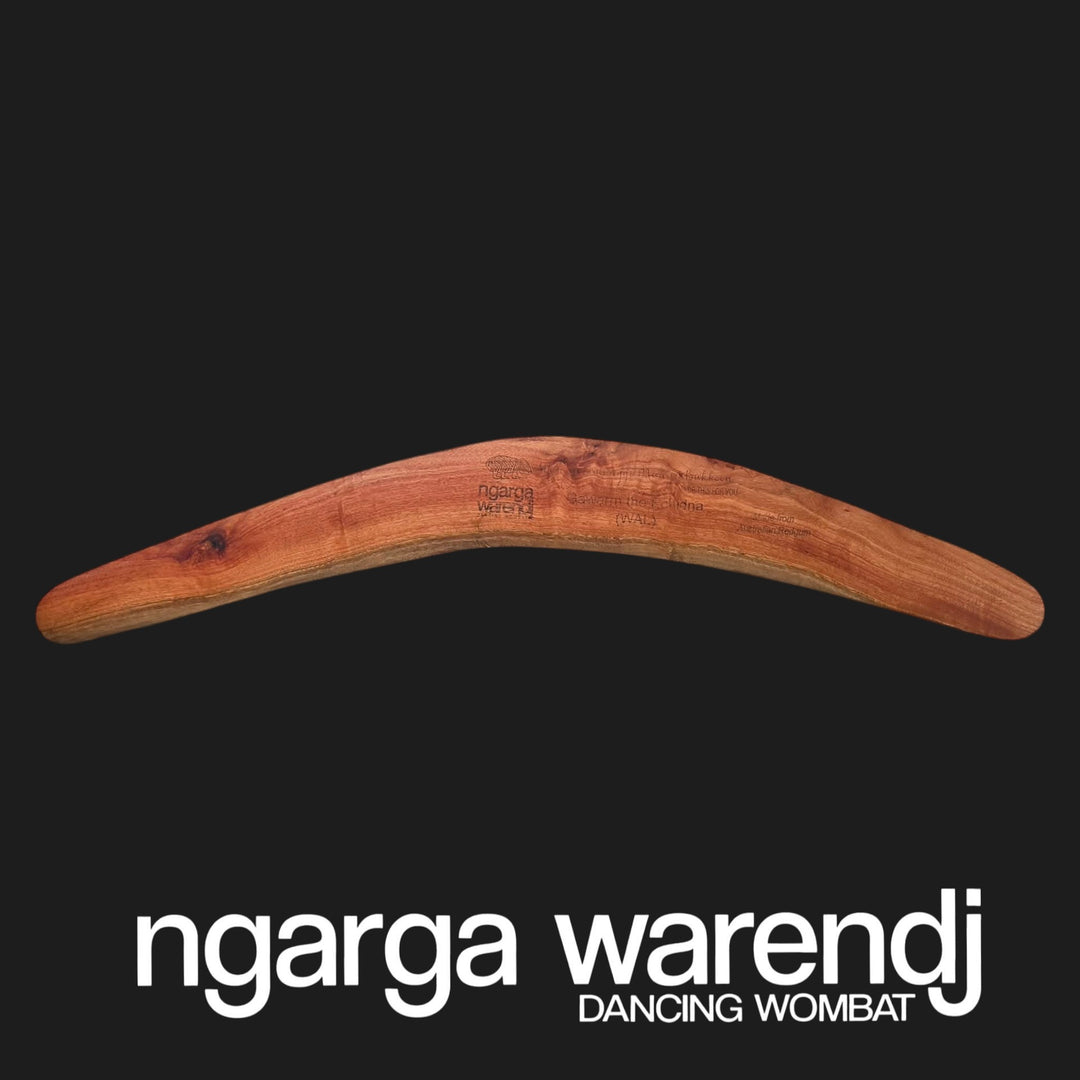 BOOMERANG WANGIM AUSTRALIAN REDGUM LARGE ECHIDNA DESIGN