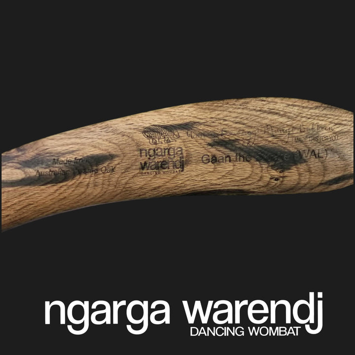 BOOMERANG WANGIM LARGE AUSTRALIAN SWAMP OAK GAAN SNAKE DESIGN
