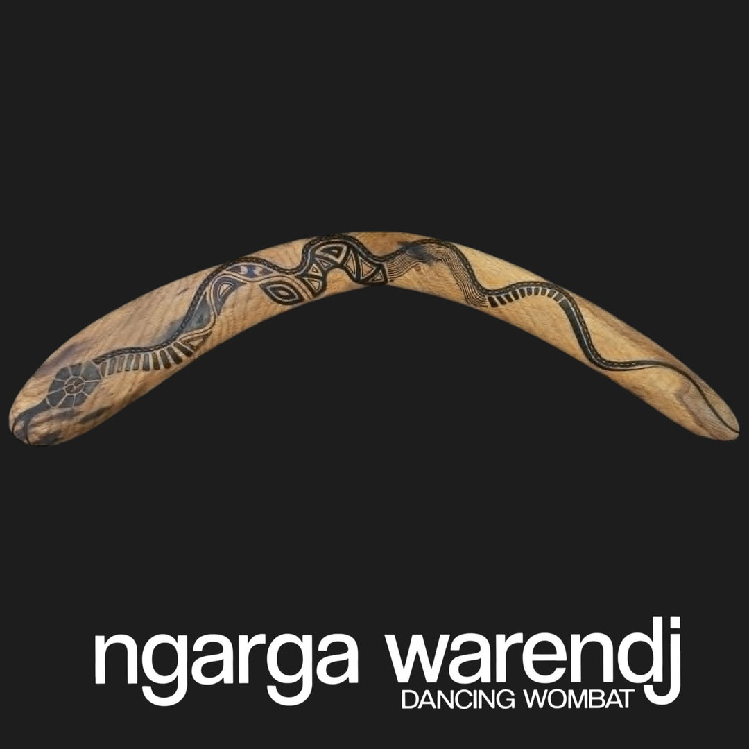 BOOMERANG WANGIM LARGE AUSTRALIAN SWAMP OAK GAAN SNAKE DESIGN
