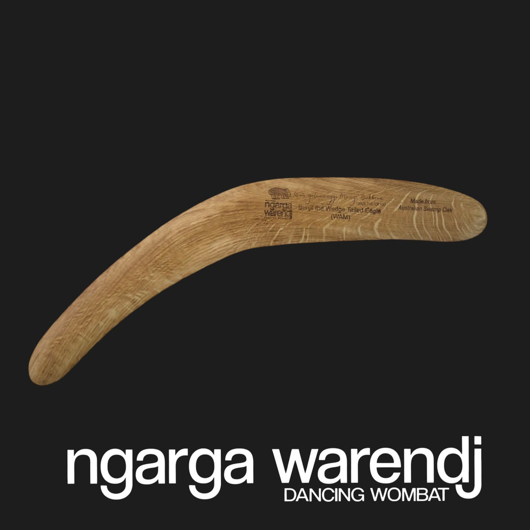 BOOMERANG WANGIM MEDIUM AUSTRALIAN SWAMP OAK BUNJIL DESIGN