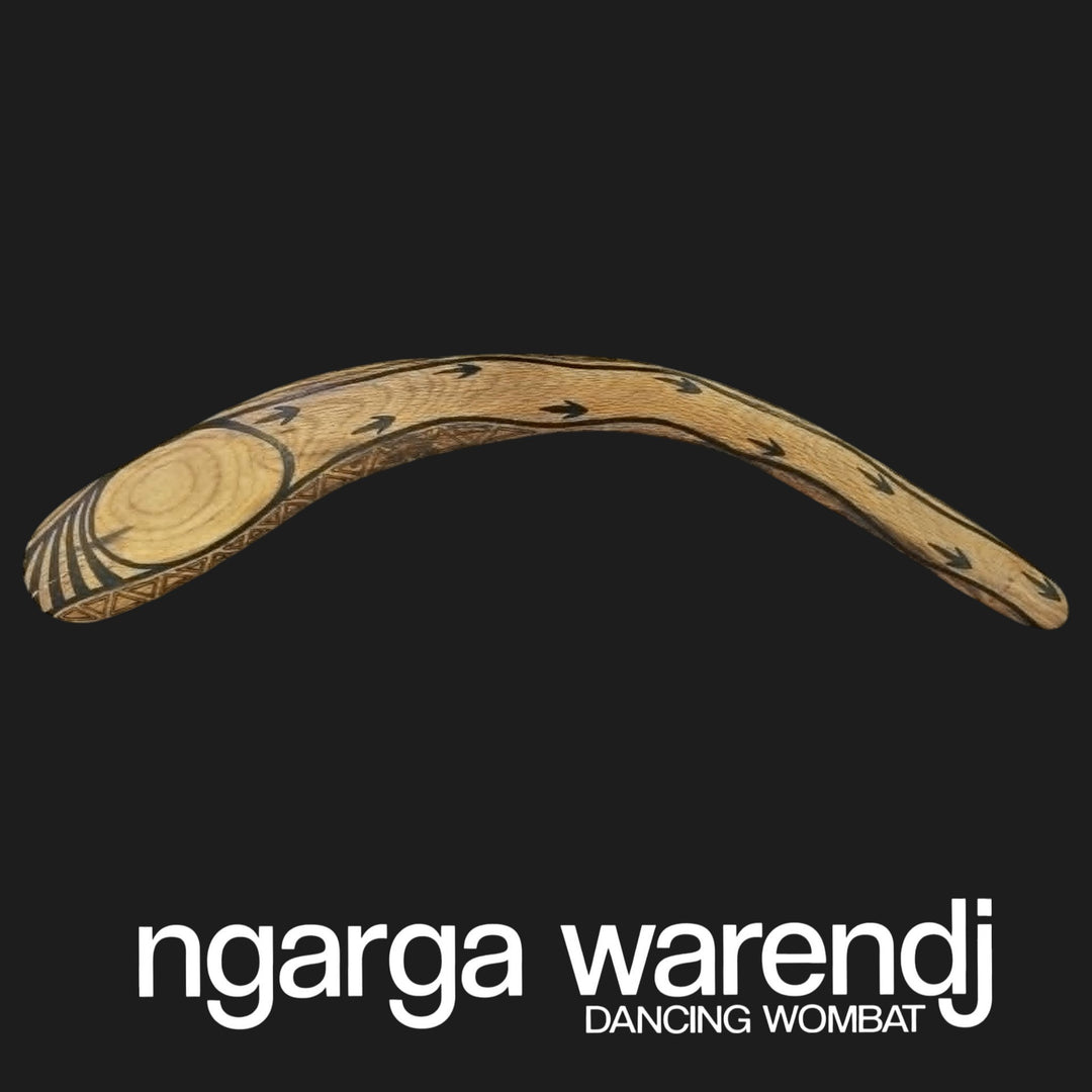 BOOMERANG WANGIM X-LARGE AUSTRALIAN SWAMP OAK - BARRING BUNJILS CAMPFIRE DESIGN