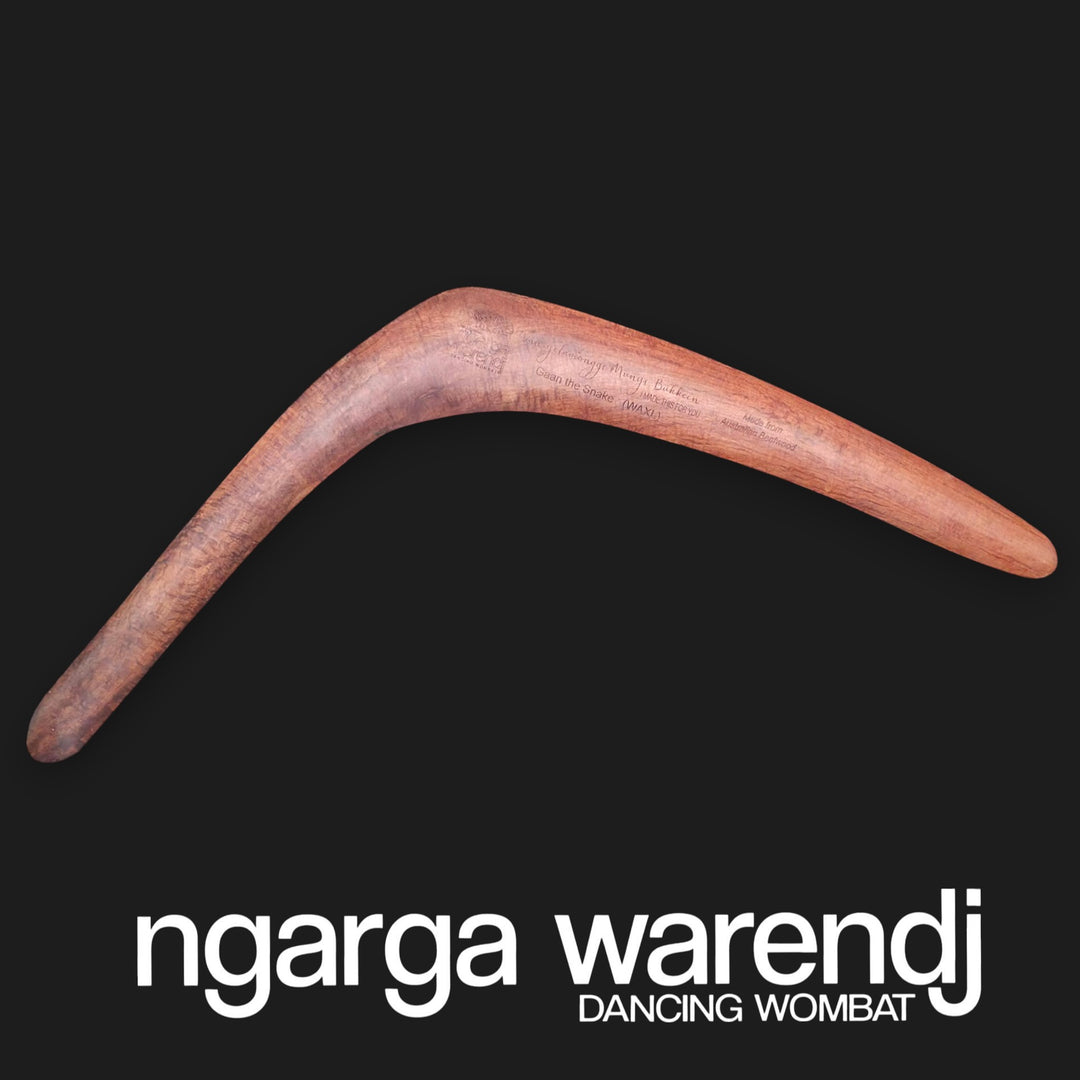 X-Large Gaan the Snake Wangim / Boomerang Made from rare Australian Beefwood