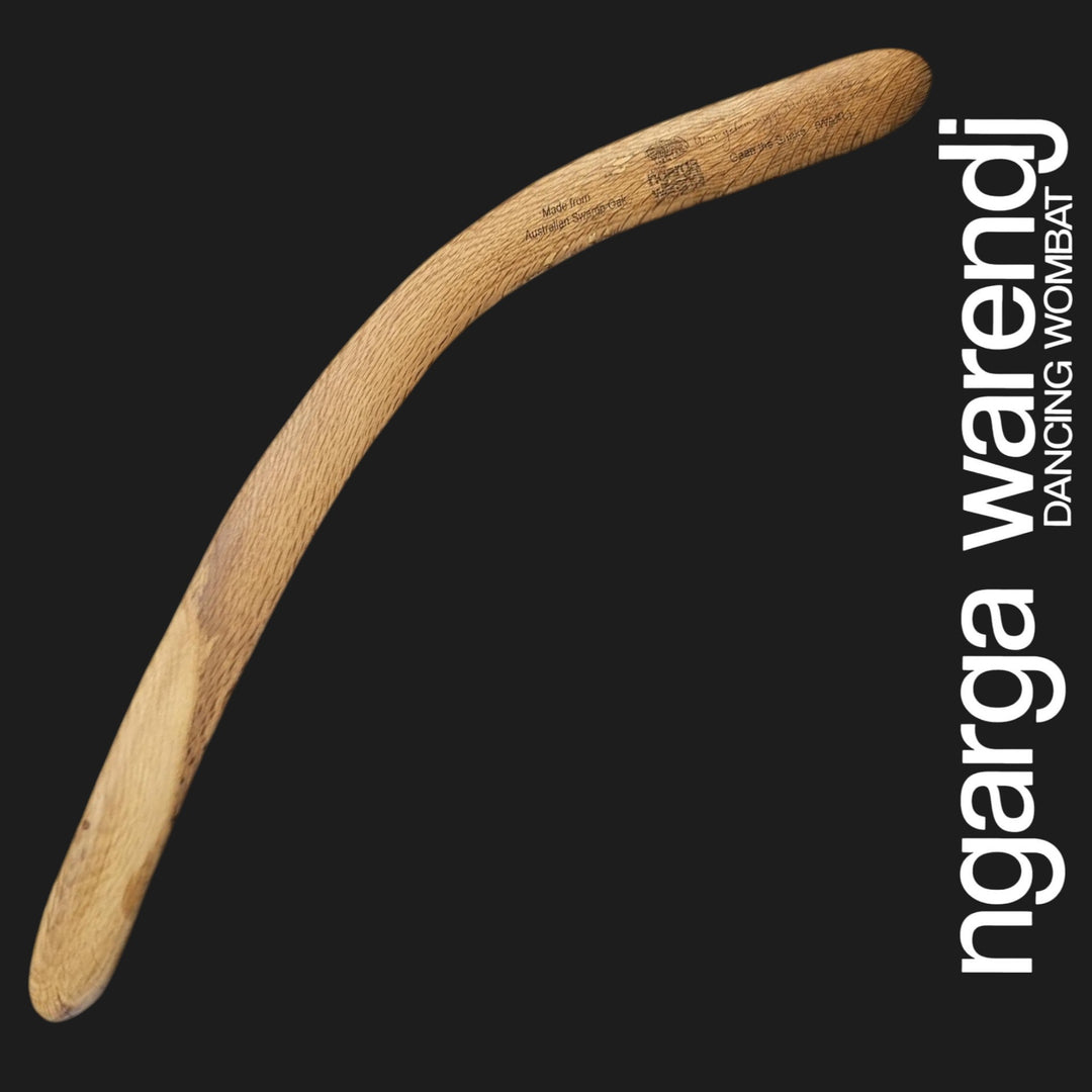 BOOMERANG WANGIM AUSTRALIAN SWAMP OAK X-LARGE - GAAN THE SNAKE DESIGN