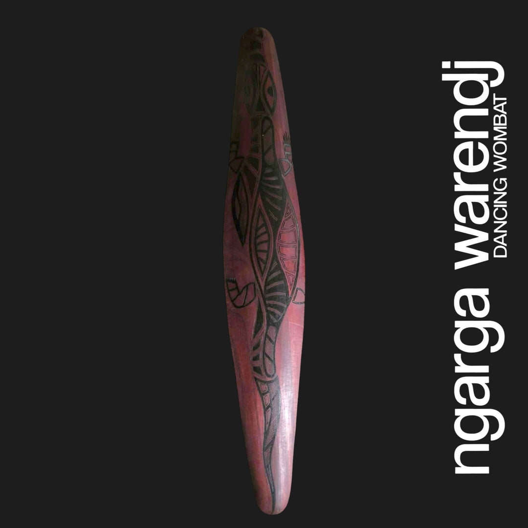 Front of medium Australian Red Cedar wall shield featuring Dhulin the goanna in black patterned linework with a long tail.
