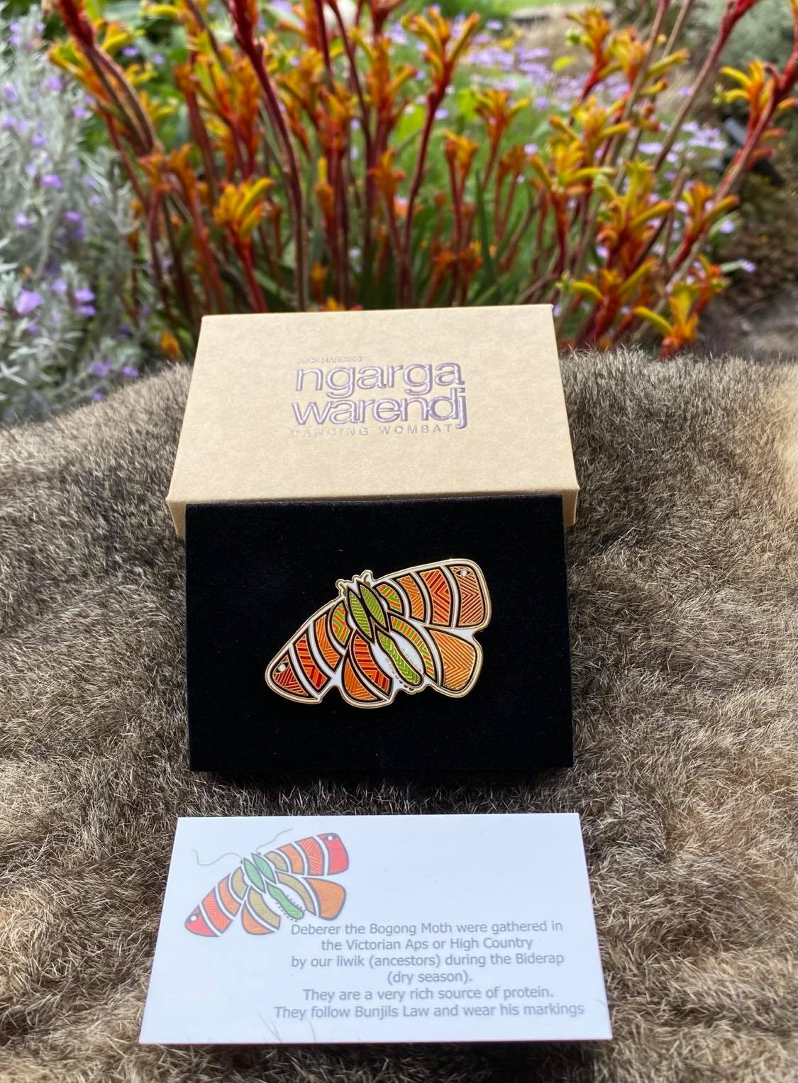 NGARGA WARENDJ - ORANGE BOGONG MOTH LAPEL PIN – Ngarga Warendj