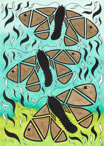 ART CARD THREE BOGONG MOTHS 010-Ngarga Warendj